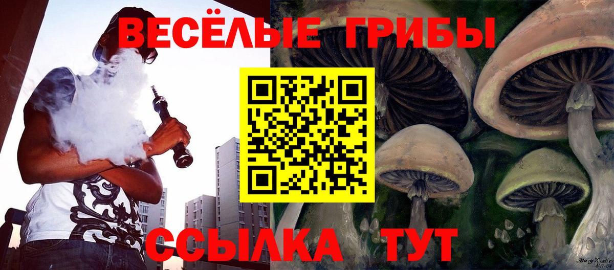 Псилоцибиновые грибы ЛСД Дзержинск