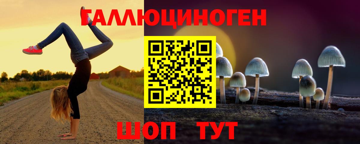 Псилоцибиновые грибы Magic Shrooms  Вход с VPN  Дзержинск  Псилоцибиновые грибы Cubensis 